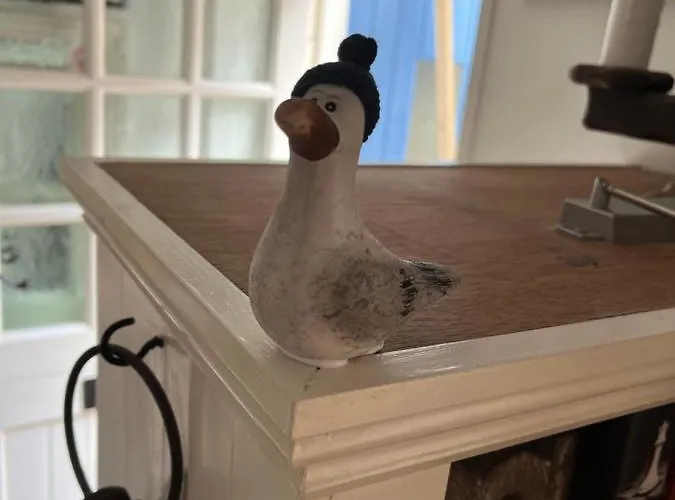 The Rockpool Holiday home Whitby